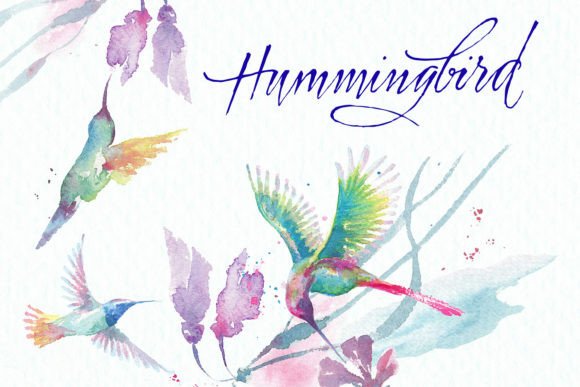Bringing Nature to Life: The Creative Power of the Hummingbirds and Tropical Flowers Set