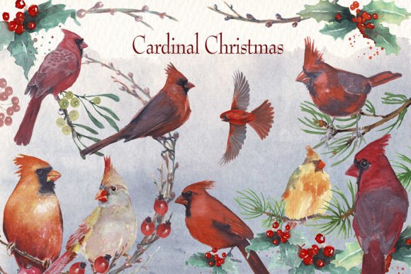 Cardinal Christmas Watercolor Clipart Set for Festive Designs