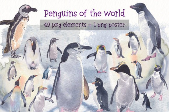 Charming Penguins of the World Watercolor Clipart