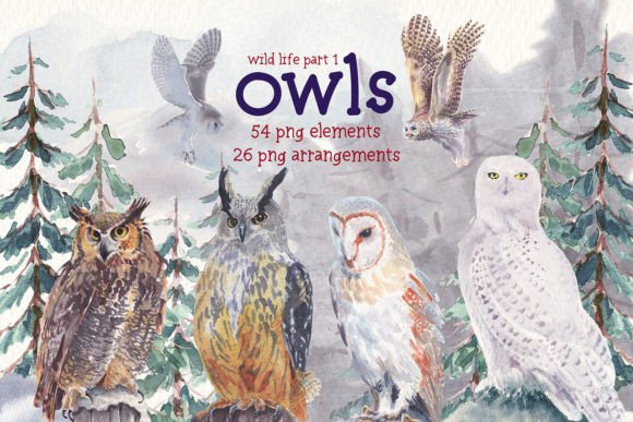 Owls Wild Life Watercolor Clipart Set for Creators