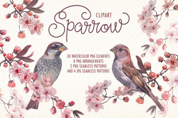 Sparrow Bird Watercolor Clipart for Creative Projects