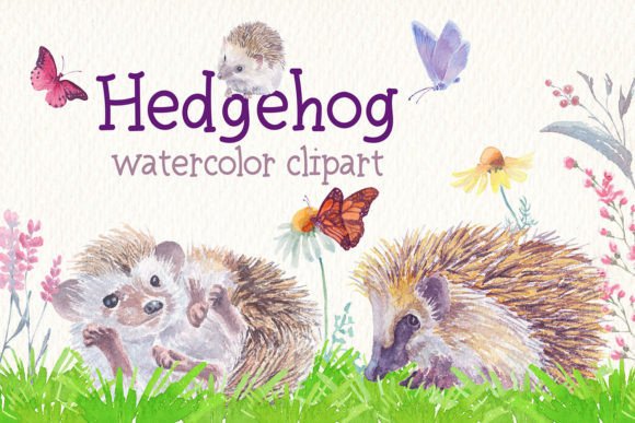 Unlocking Creative Potential with a Premium Hedgehog Watercolor Clipart Collection